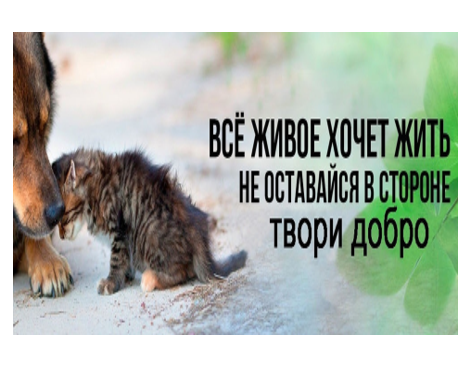 Зоозащитная акция «Не бросай меня на даче».